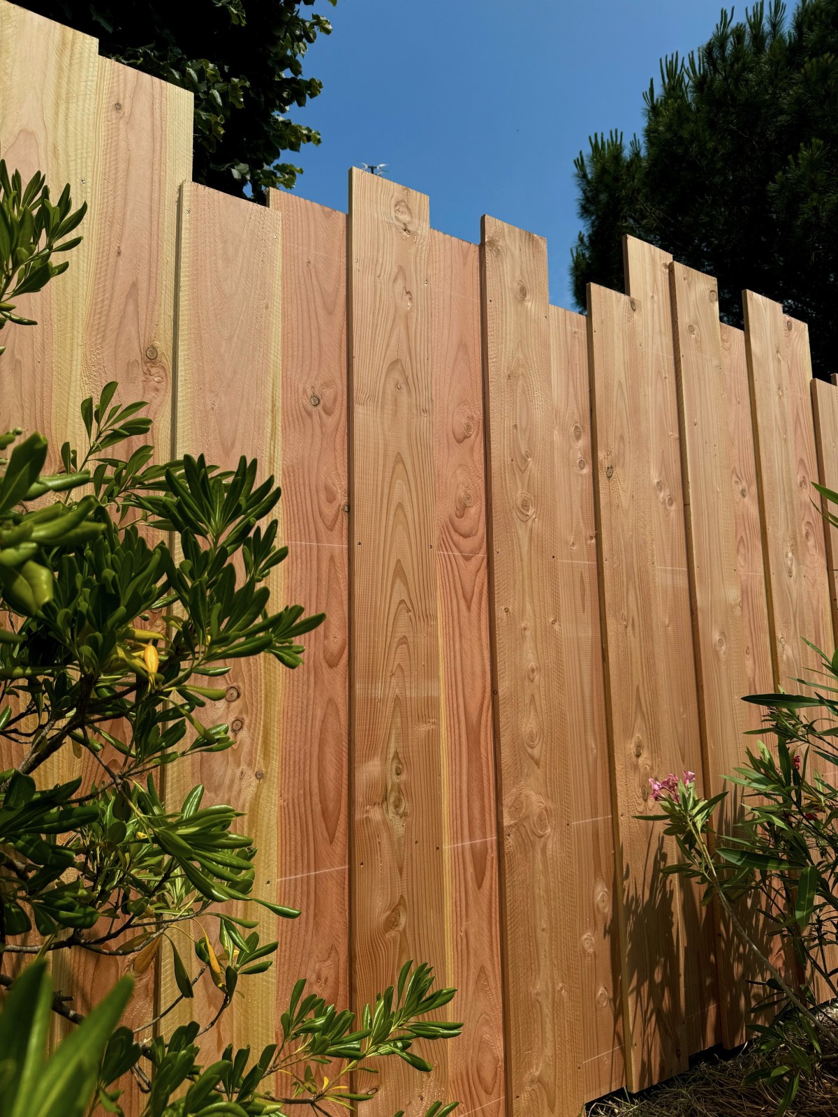 Vue frontale : clôture en bois Douglas au design original – Libourne, Nord Gironde