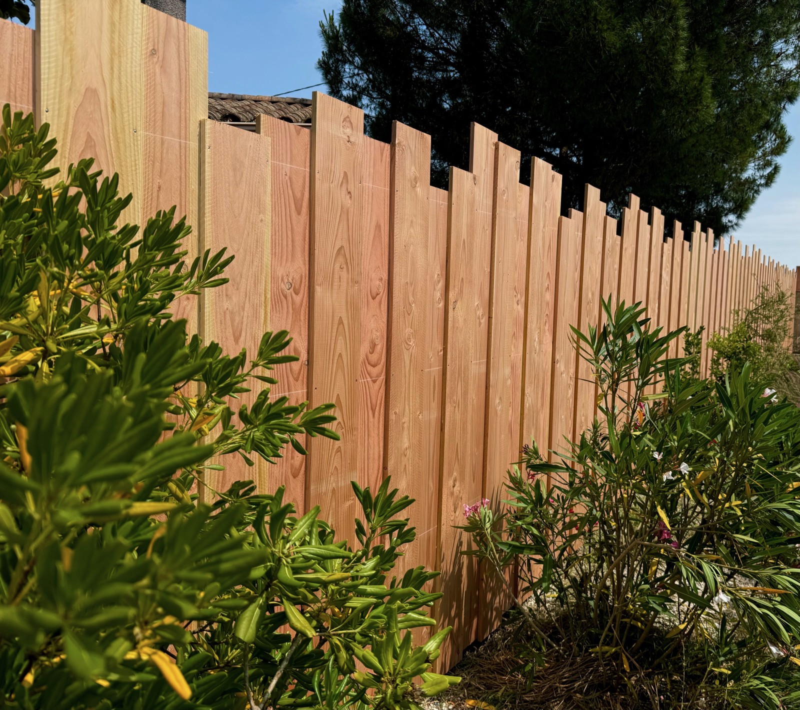 Clôture bois déstructurée côté rue – 70 m² de caractère en Nord Gironde