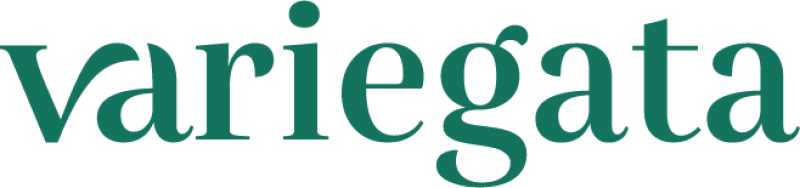 L’art de végétaliser vos espaces avec élégance MERIGNAC Variegata