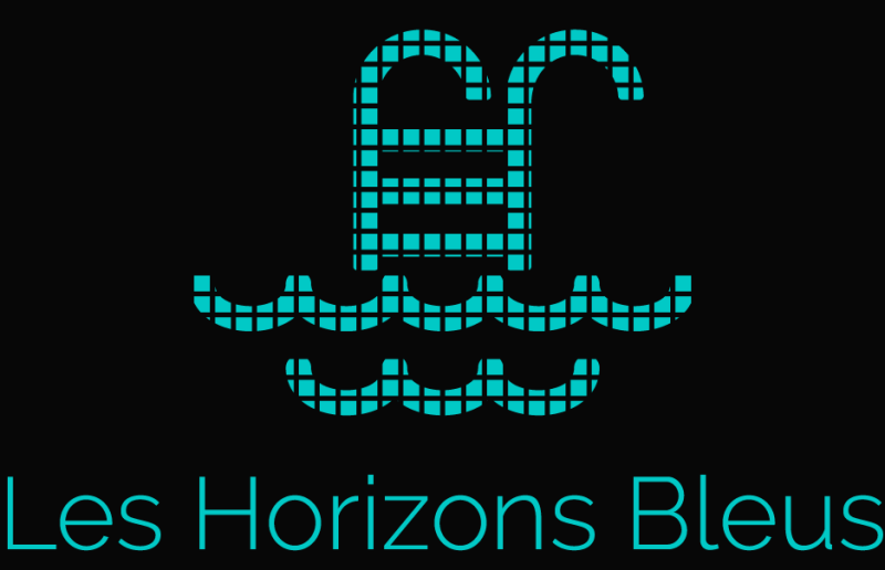 Votre pisciniste artisanal à Bordeaux bordeaux Les Horizons Bleus